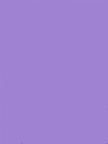 Станислава Студентка фото 2